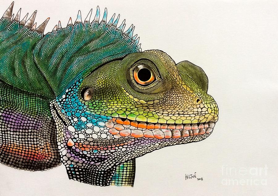 Rainbow Lizard Pastel by Graham Wallwork - Fine Art America