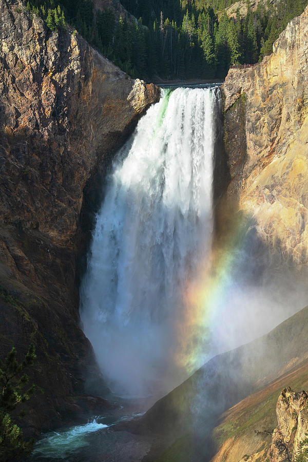 Yellowstone National Park Photograph - Rainbow Lower Falls by Alan Majchrowicz