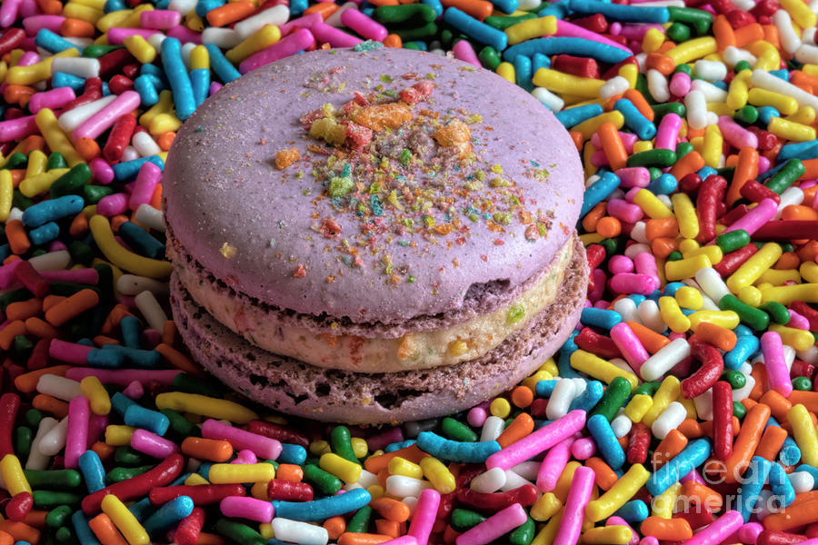 Cookie Photograph - Rainbow Macaron by Elisabeth Lucas