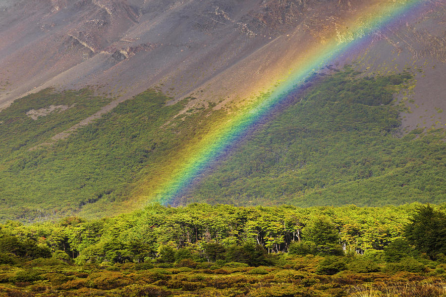 Rainbow Near Rio Blanco Below Fitzroy Photograph by David Madison