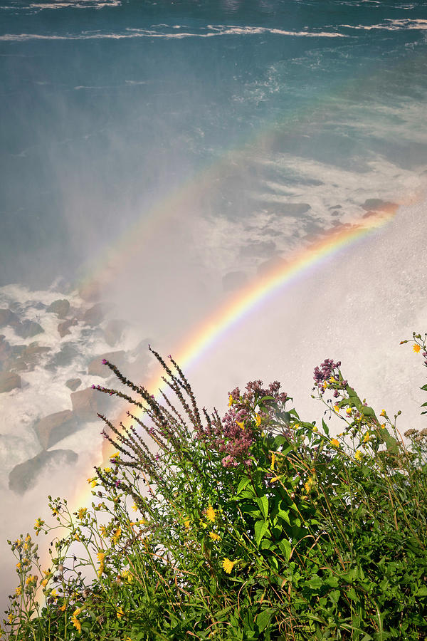 Rainbow, Niagara Falls, New York Digital Art by Claudia Uripos