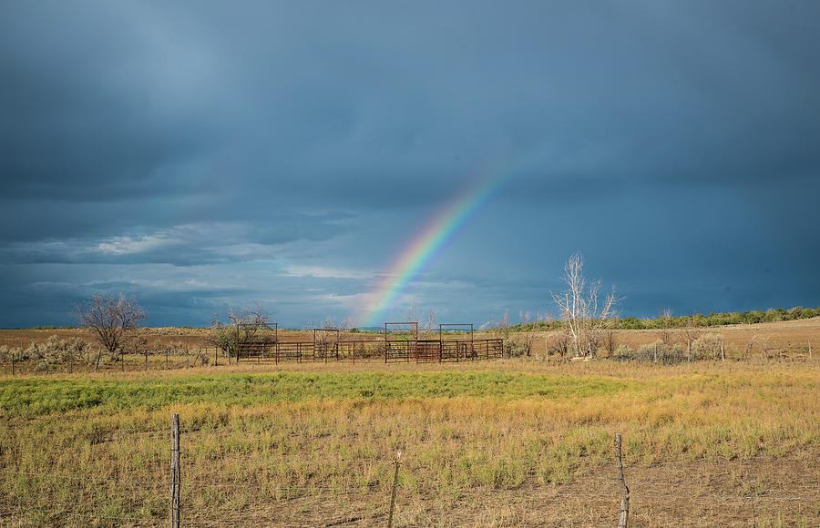 Rainbow Northwest of Cortez Photograph by Tom Cochran