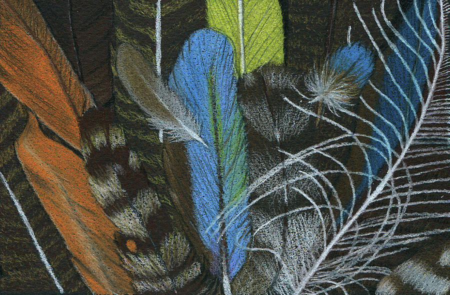 Rainbow of Feathers Drawing by Lisa Blake