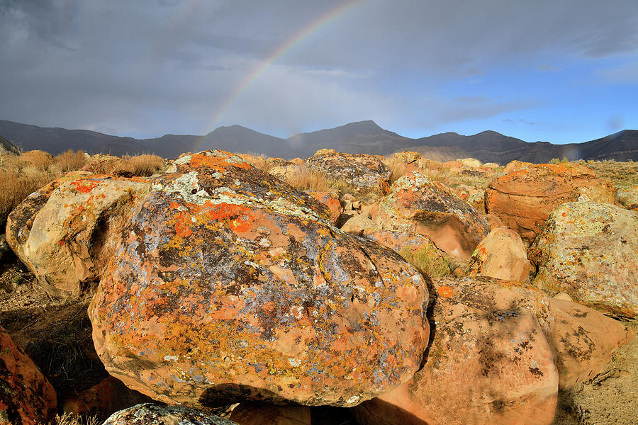 Rainbow over Book Cliff Boulder Field Photograph by Ray Mathis