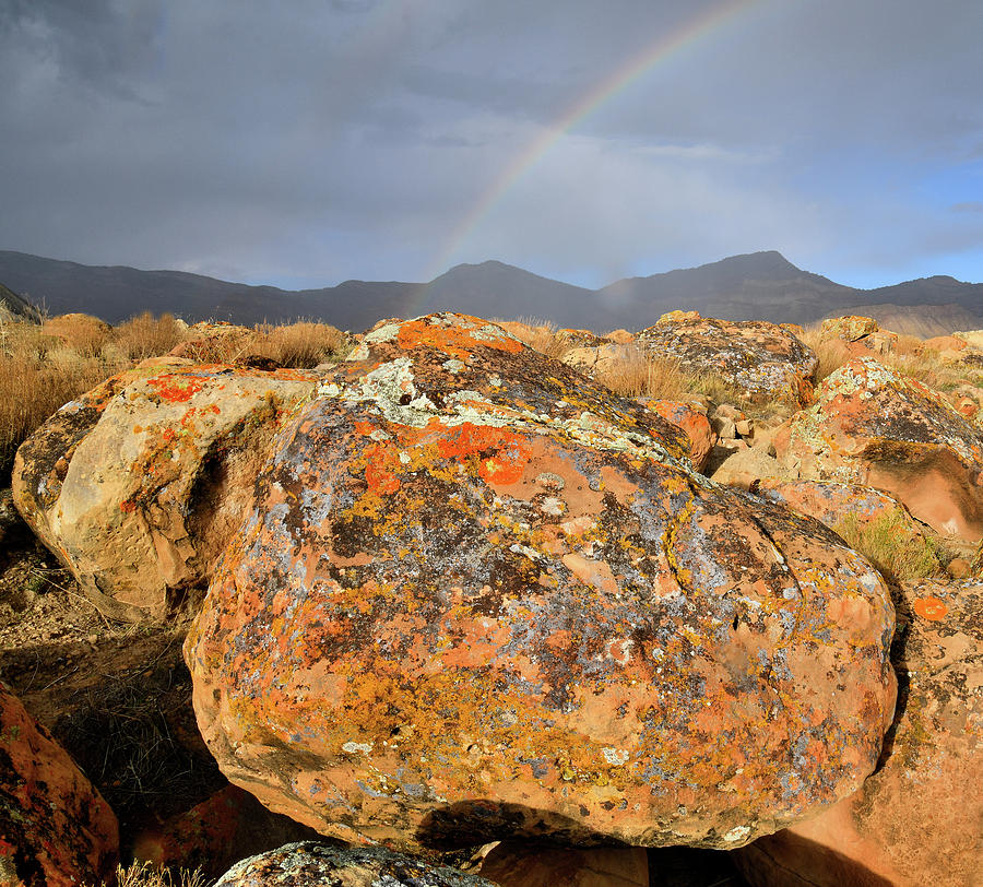 Rainbow over Book Cliff Boulders Photograph by Ray Mathis