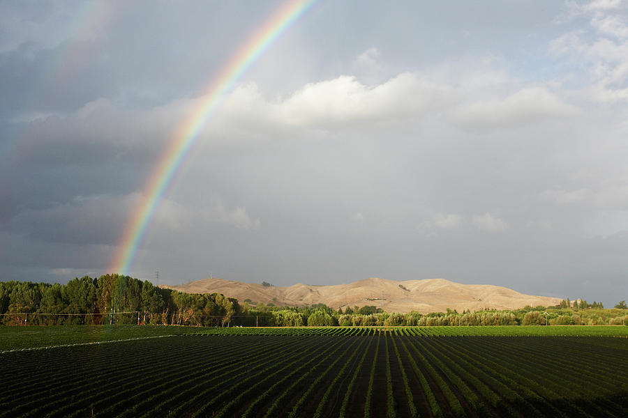 Rainbow Over Field Landscape, Auckland Photograph by Cultura Exclusive/laura Arsie