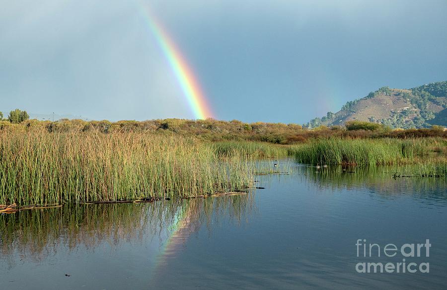 Rainbow Over Marsh At Carmel River State Beach Photograph by Bob Gibbons/science Photo Library