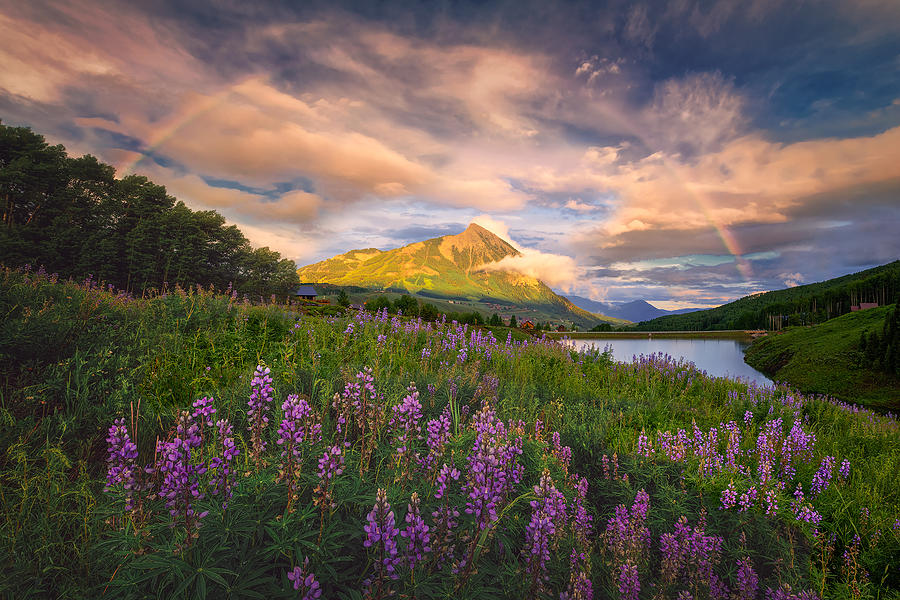 Flower Photograph - Rainbow Over Mt Crested Butte by Mei Xu