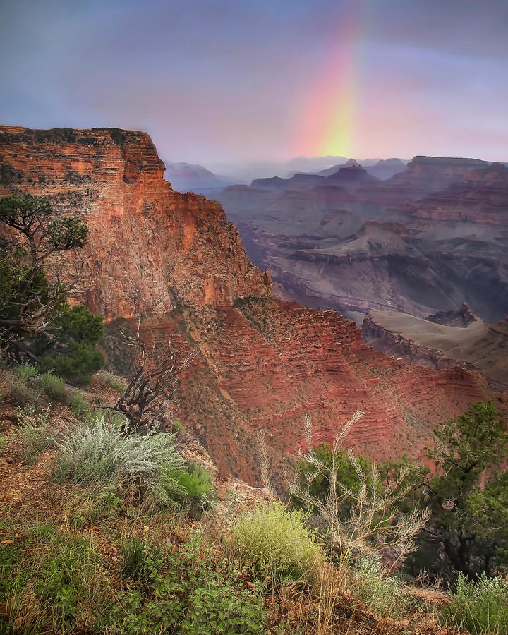 Rainbow Over The Canyon Photograph by Harriet Feagin