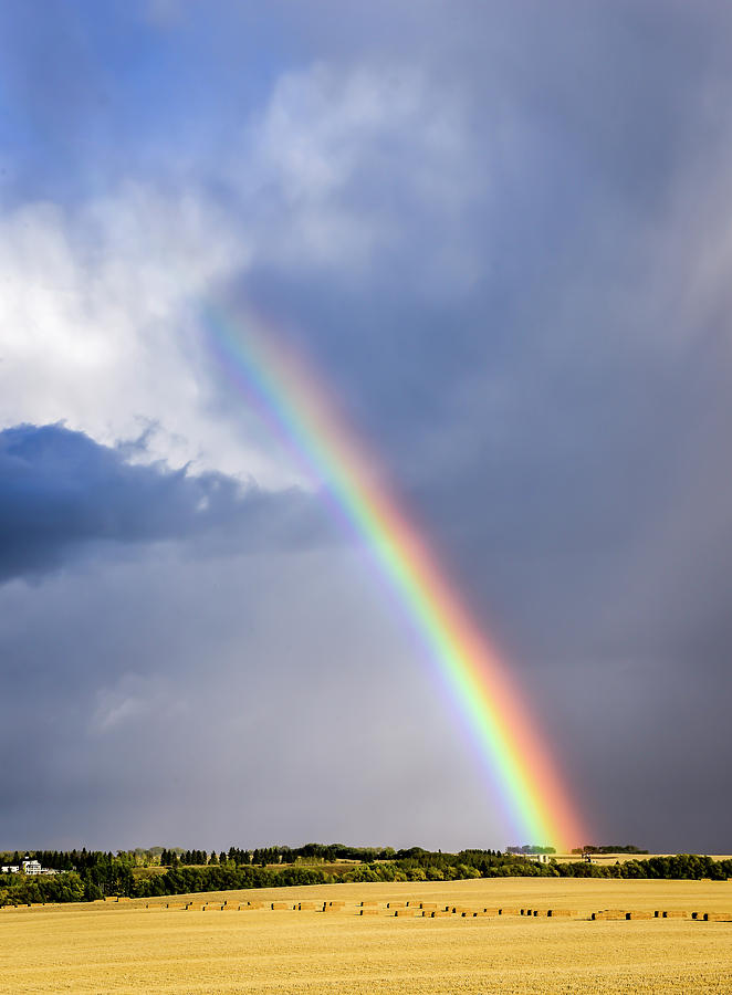 Afternoon Photograph - Rainbow Over the Crop by Phil And Karen Rispin