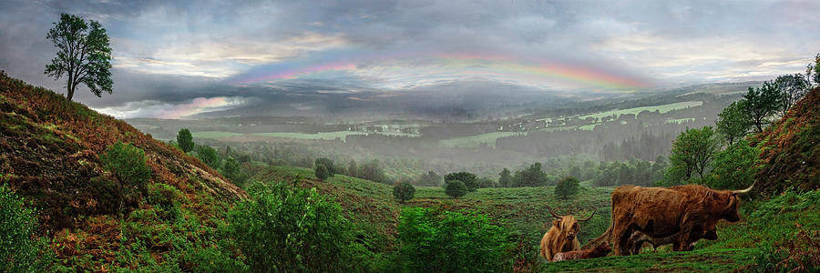Fall Photograph - Rainbow over the Scottish Farmlands by Debra and Dave Vanderlaan