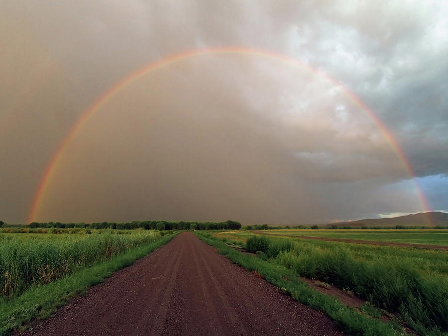 Rainbow Photograph by Pat Gaines
