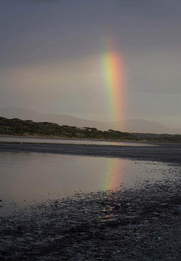 Rainbow Photograph by Patrick Nowotny