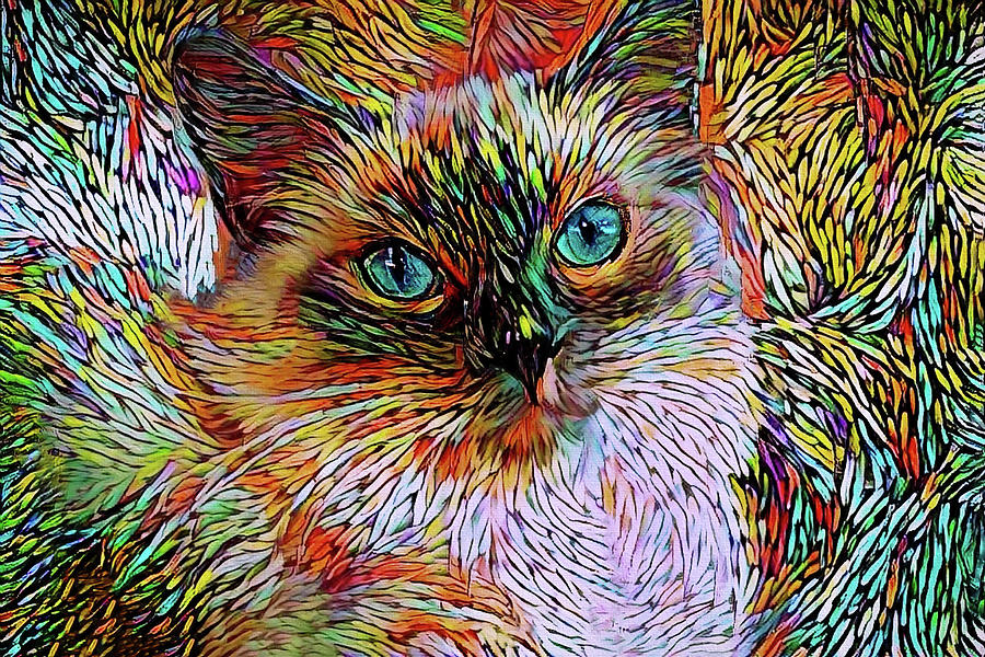 Rainbow Ragdoll Cat Digital Art by Peggy Collins
