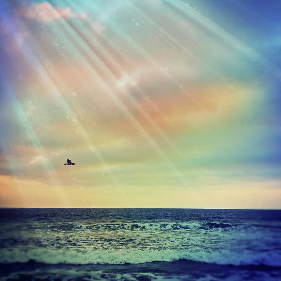 Rainbow Rays Photograph by Denise Taylor