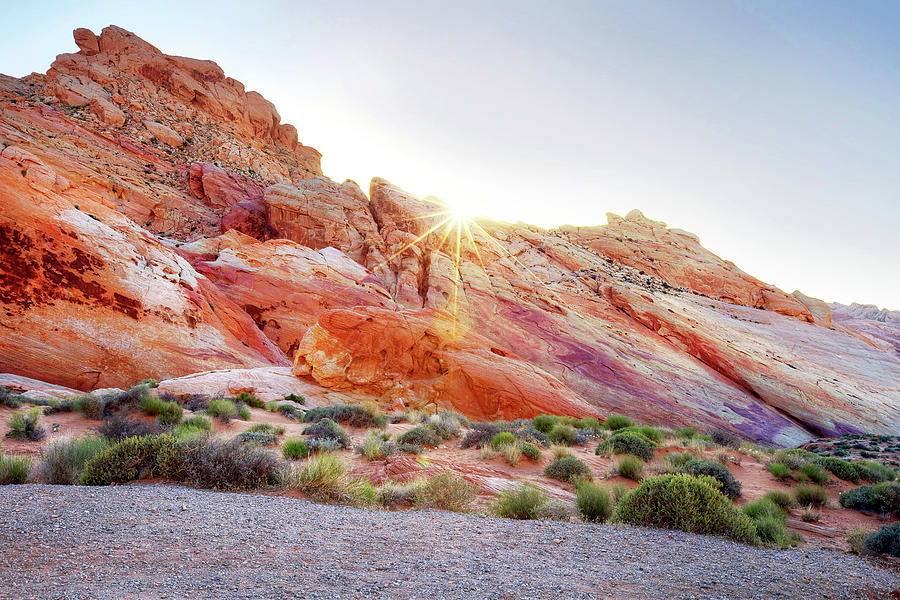 Rainbow Rocks At Valley Of Fire Photograph by Copyright Sarah Wright