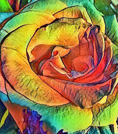 Rainbow Rose  Photograph by Kimberly Woyak