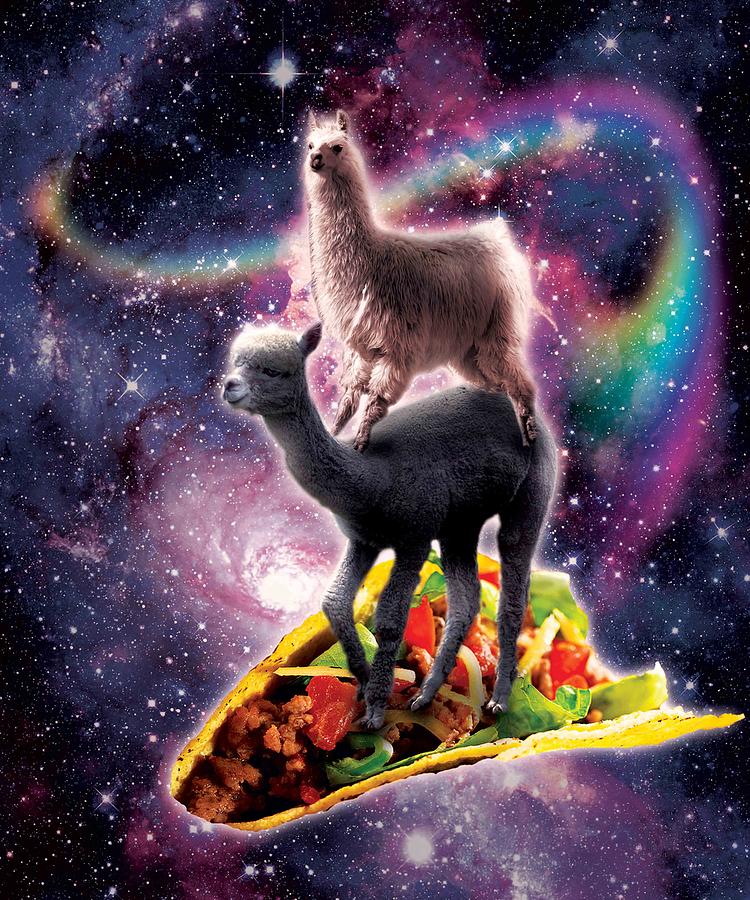 rainbow llama asda