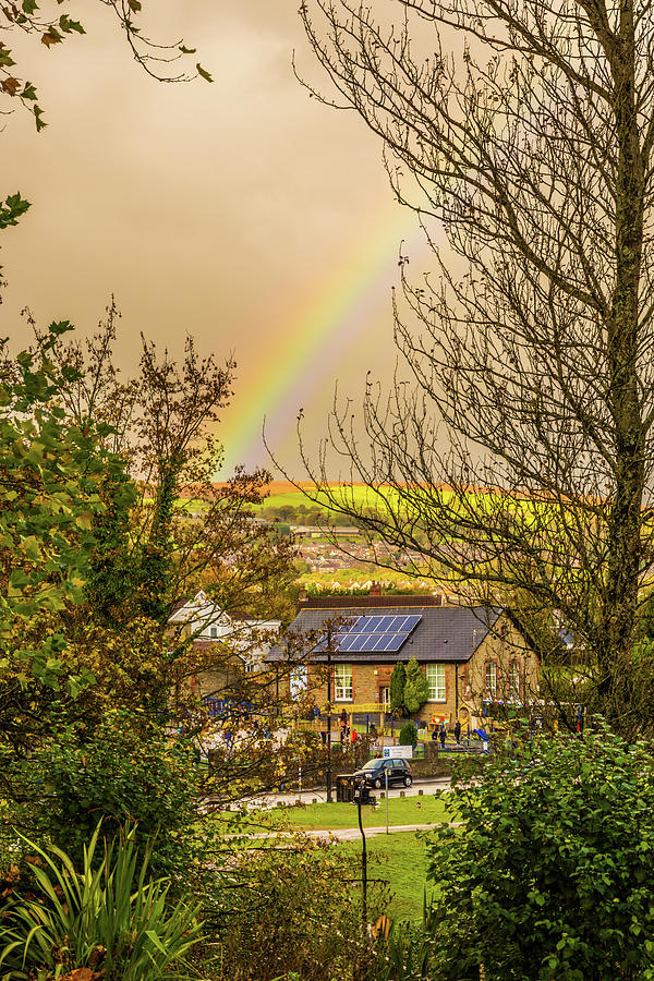 Tree Photograph - Rainbow Through The Trees by Steve Purnell