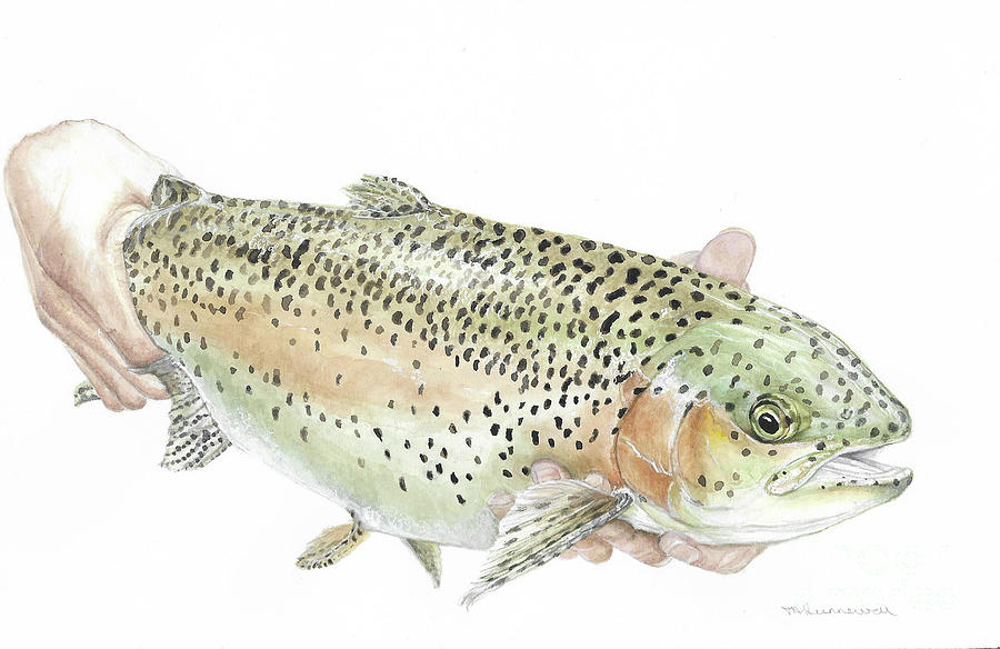 Rainbow Trout Painting by Tracey Hunnewell