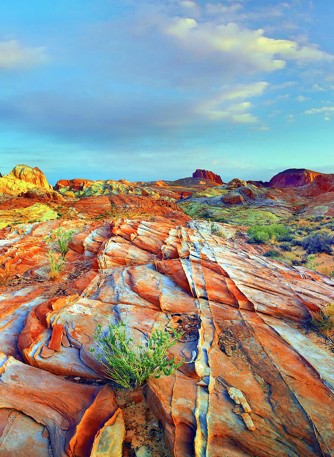 Rainbow Vista In Valley Of Fire Photograph by Tim Fitzharris
