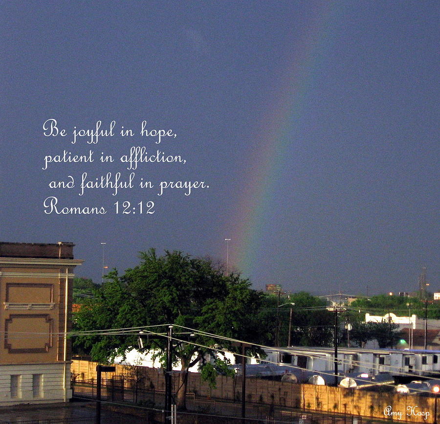 Rainbows And Promises  Photograph by Amy Hosp