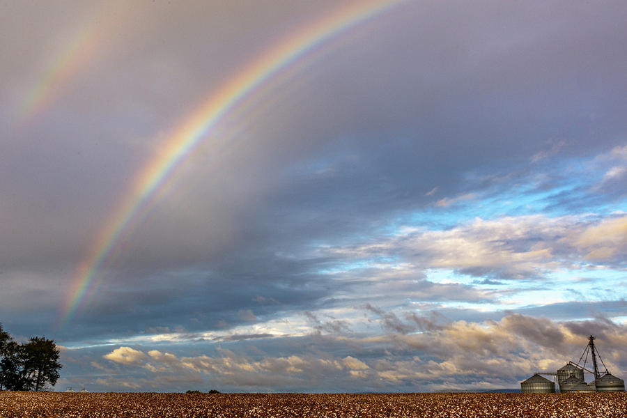 Rainbows Over Cotton by Jack Peterson Rainbows Over Cotton by Jack Peterson