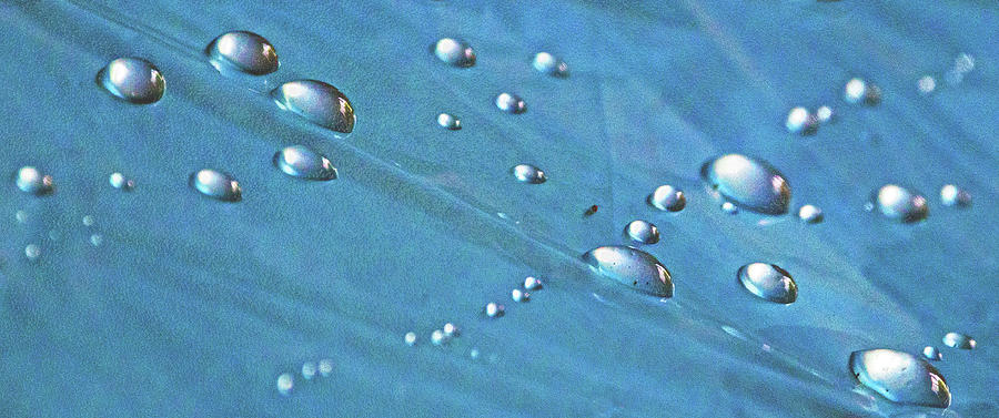 Raindrop Blues One Photograph by Ira Marcus