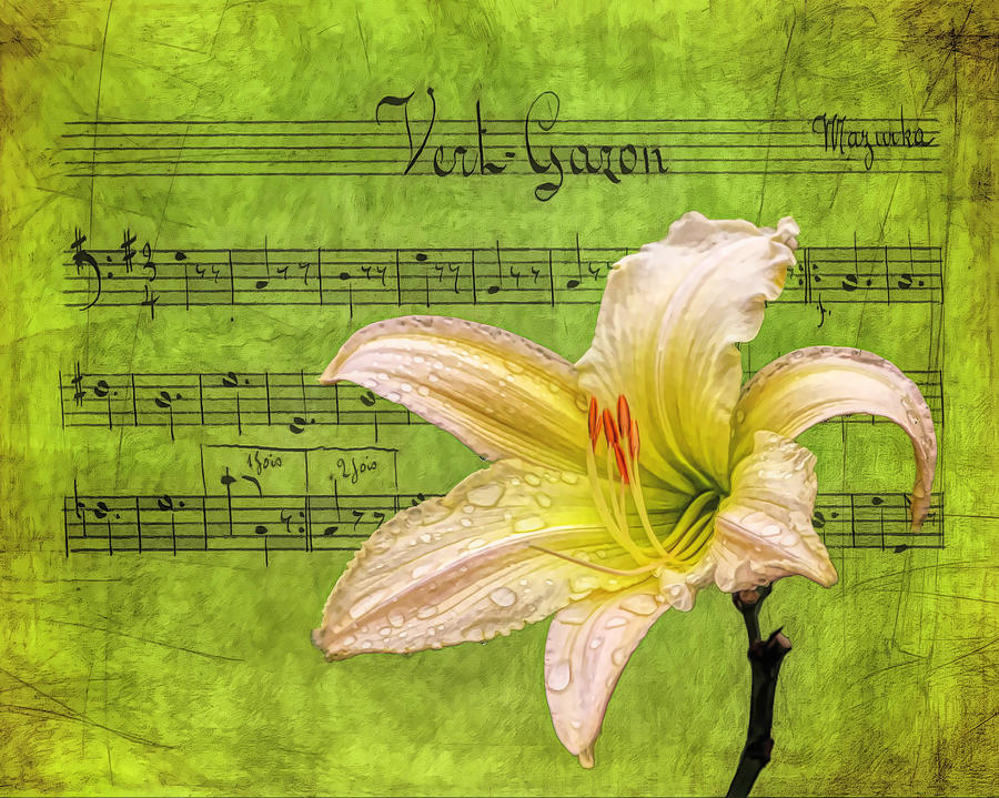 Raindrops on Lily Painted Photograph by Judy Vincent