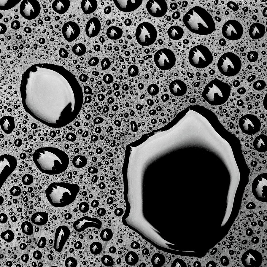 Outdoors Photograph - Raindrops by Sean Mcleod Outdoors Photograph - Raindrops by Sean Mcleod