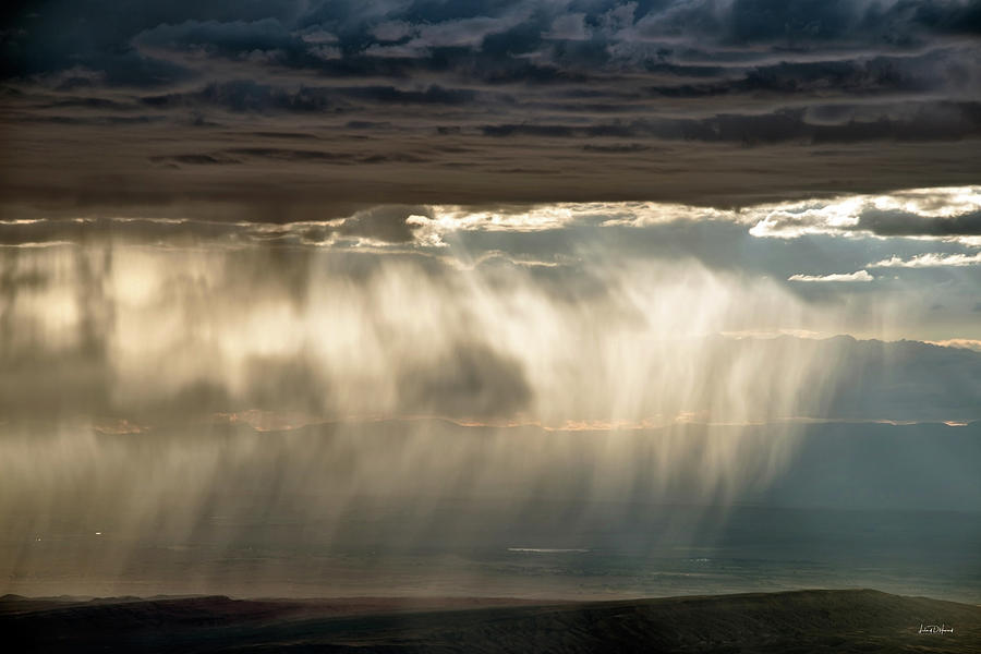 Rainfall Photograph by Leland D Howard