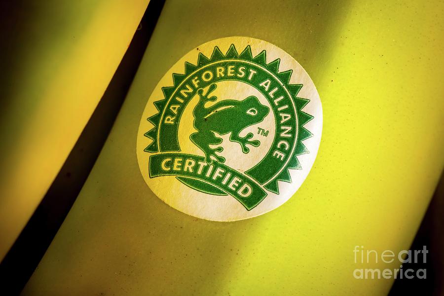 Rainforest Alliance Label On Banana Photograph by Martyn F. Chillmaid/science Photo Library