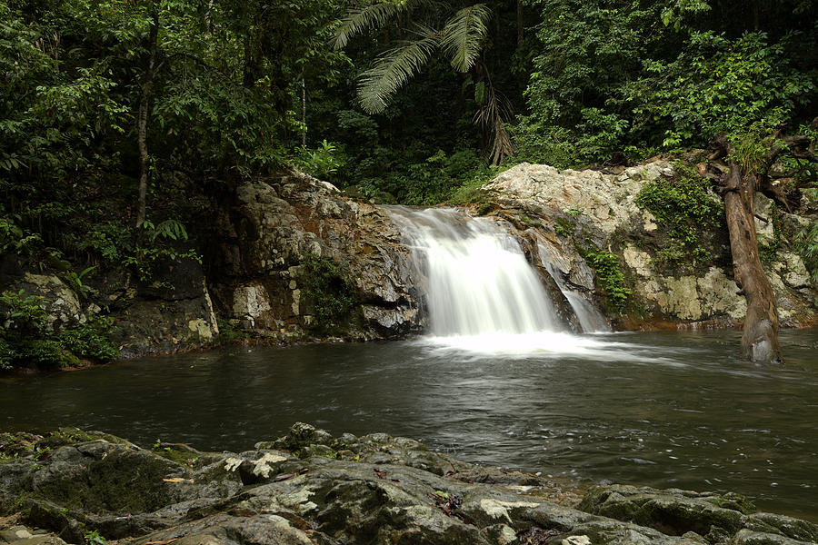 Rainforest Waterfall, Malaysia Photograph by W.k. Fletcher | Pixels