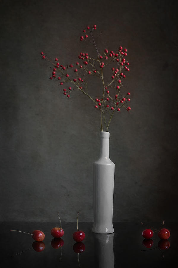 Fruit Photograph - Rainier Cherries by Lydia Jacobs