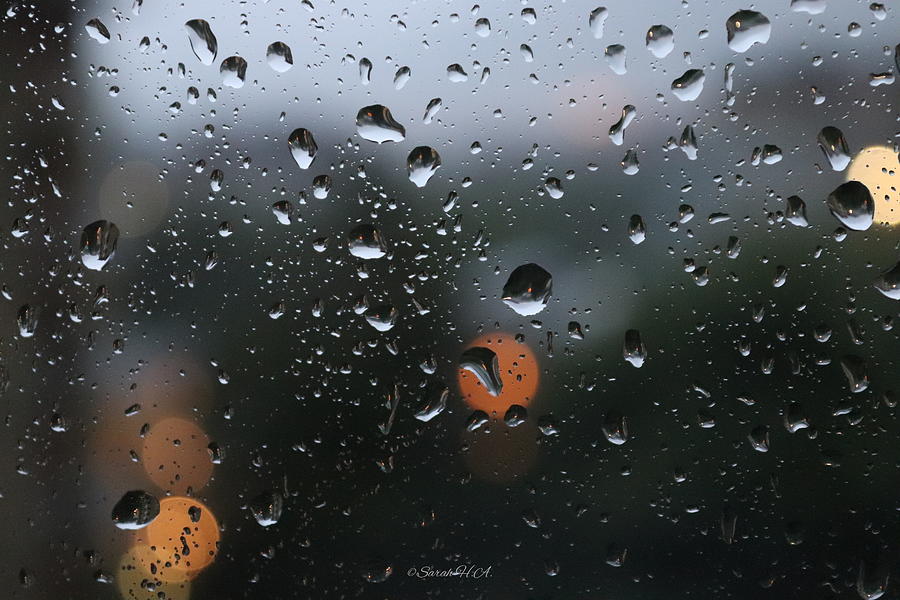 Raining day Photograph by Sarah Helmy Aly - Fine Art America