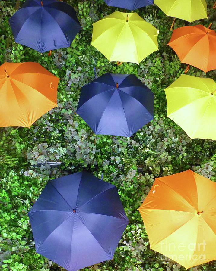 Raining Umbrellas Photograph by Barbie Corbett-Newmin