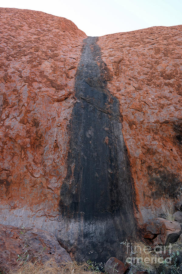 Landmark Photograph - Rainwater Channel On Uluru by Dr P. Marazzi/science Photo Library
