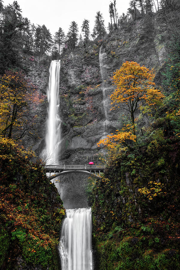 Rainy Day At Multnomah Falls Photograph by Wes and Dotty Weber