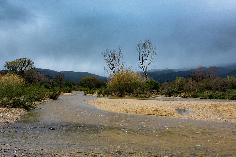 Rainy Day in the Desert Photograph by Melisa Elliott