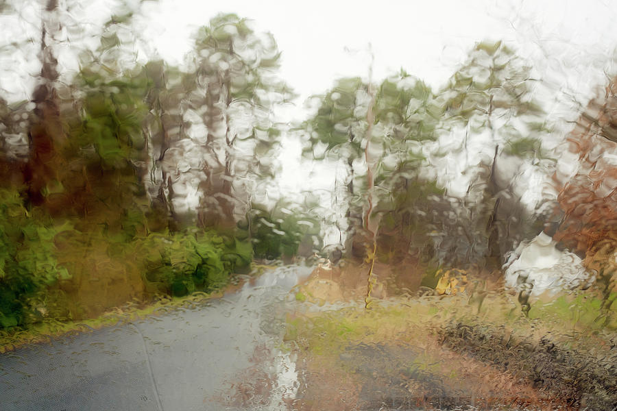 Rainy Day by Kolter Gunn Rainy Day by Kolter Gunn