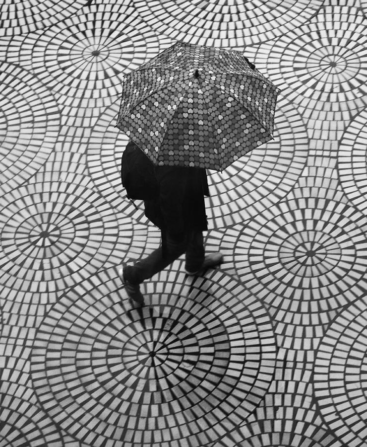 Black And White Photograph - Rainy Day Patterns On The Embarcadero by Robin Wechsler