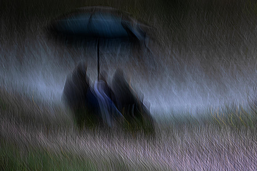 Rainy Day Photograph by Roswitha Stelzer