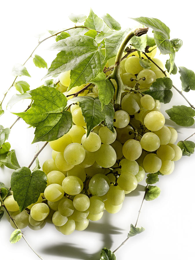 Fruit Photograph - Raisin Blanc White Grapes by Studio - Photocuisine