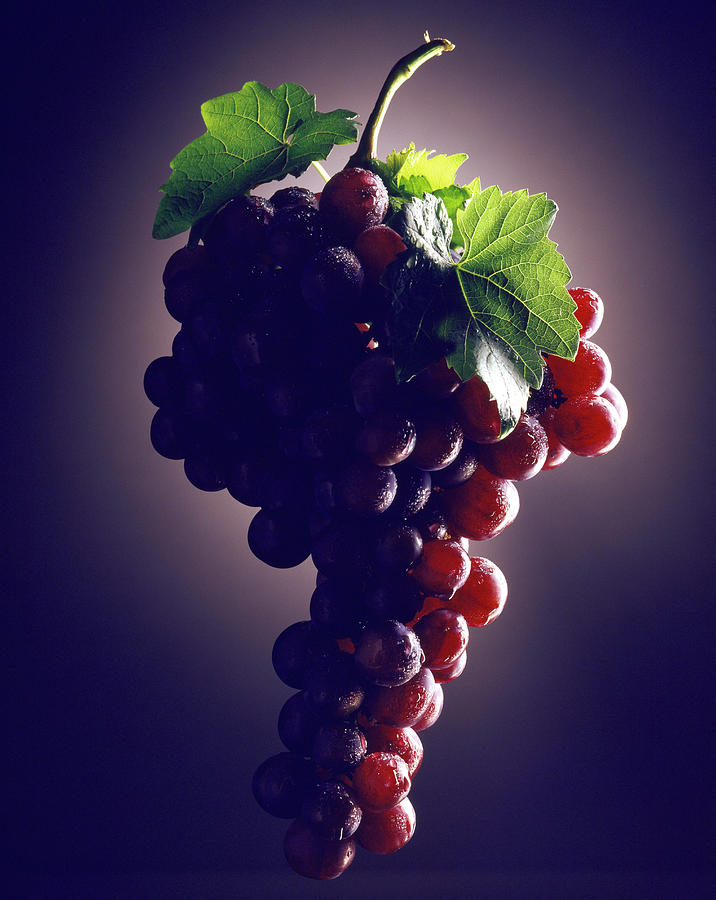 Fruit Photograph - Raisin En Grappe Bunch Of Red Grapes by Hussenot - Photocuisine