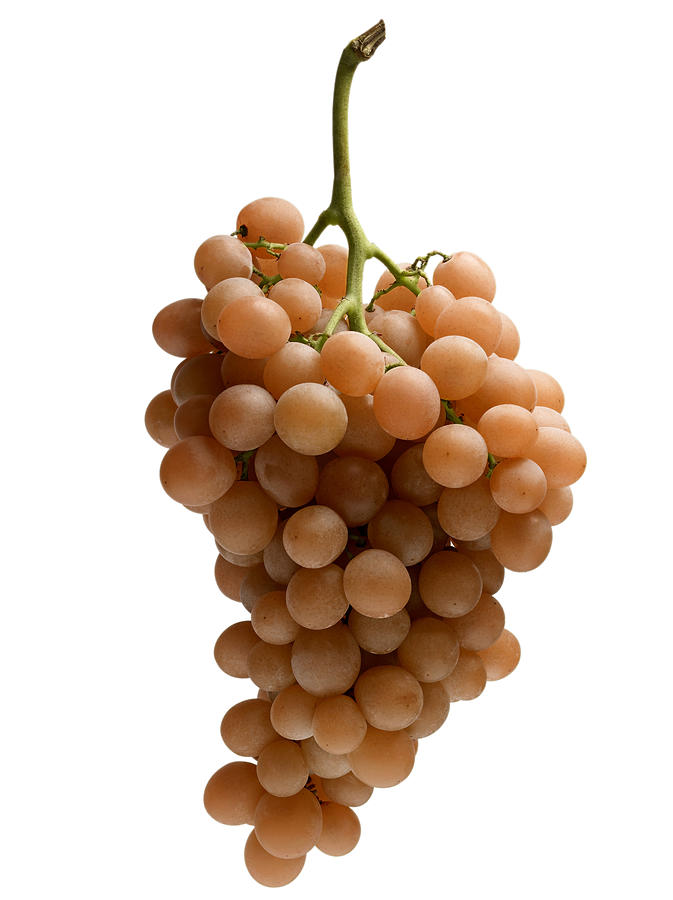 Fruit Photograph - Raisin Rouge Bunch Of Red Grapes by Studio - Photocuisine