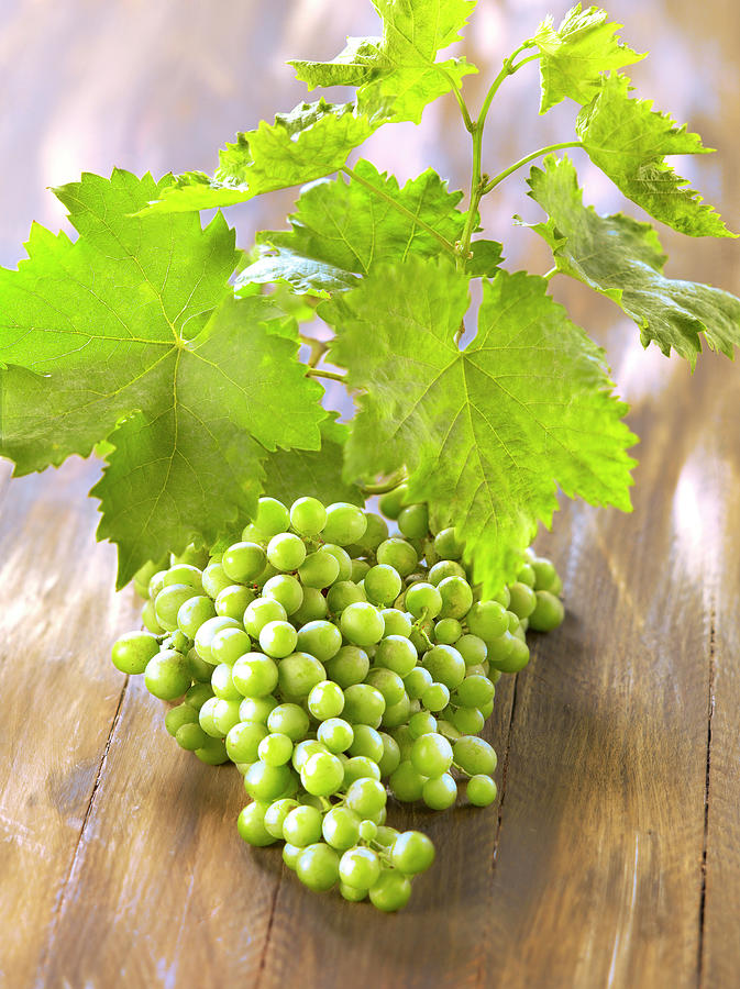 Fruit Photograph - Raisin Vert Green Grapes by Studio - Photocuisine