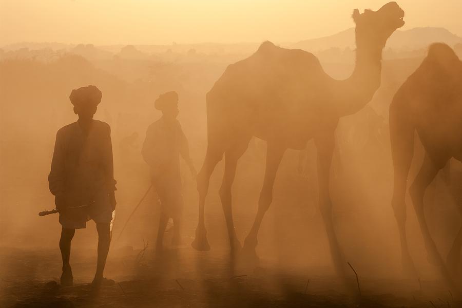 Rajasthani Shepherds Photograph by Pavol Stranak