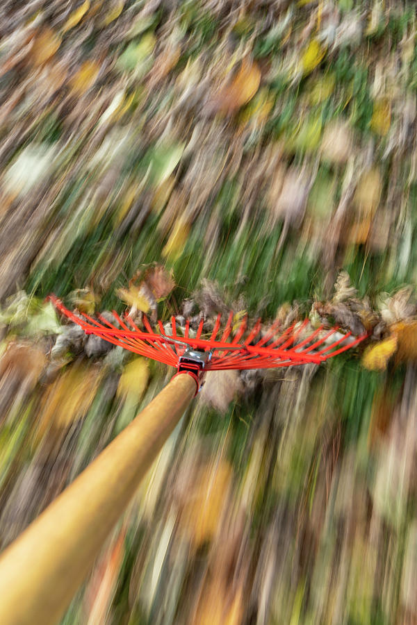 Abstract Photograph - Raking Leaves Fast 6 by John Brueske