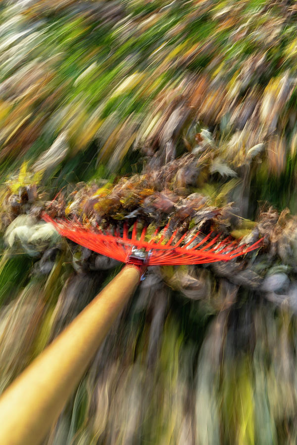 Abstract Photograph - Raking Leaves Fast 7 by John Brueske