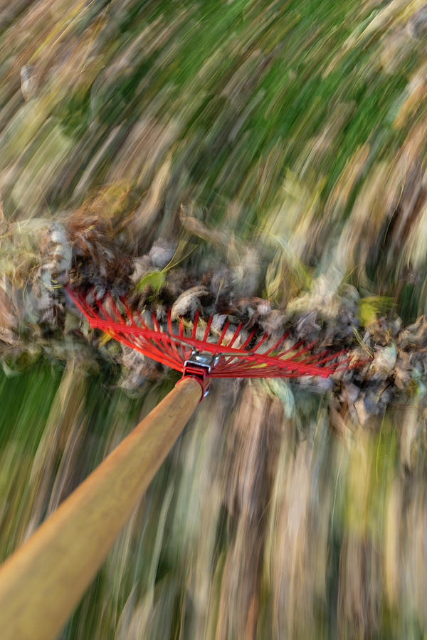 Abstract Photograph - Raking Leaves Fast 8 by John Brueske